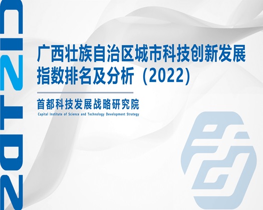 操屄链接【成果发布】广西壮族自治区城市科技创新发展指数排名及分析（2022）